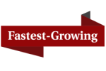 BIV Fastest Growing Companies