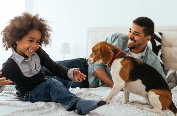 Custody of a Furbaby After Separation: Pets as Property 