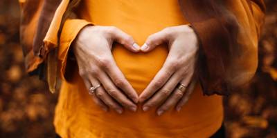 Fertility Law - About Fertility Law